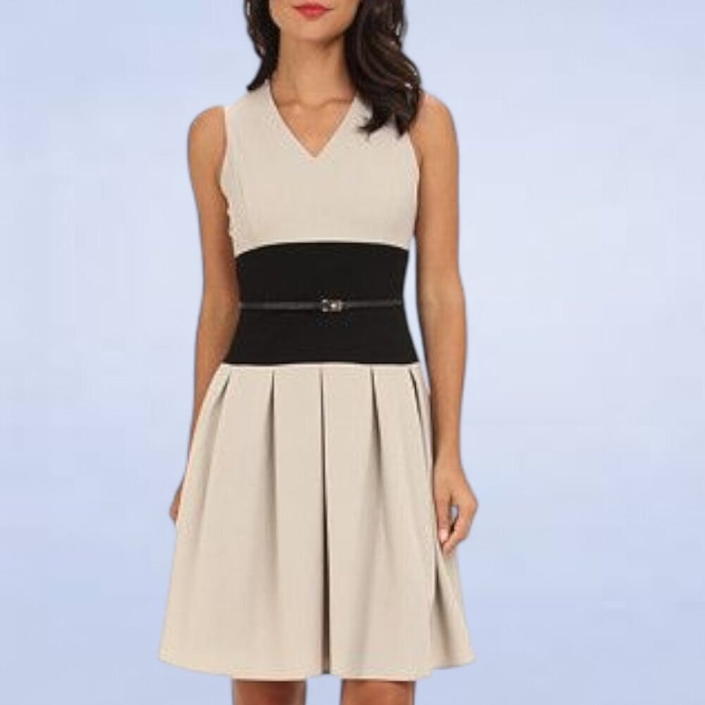 Calvin Klein Cream and Black Fit-and-Flare Dress